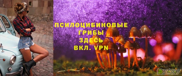 2c-b Переславль-Залесский